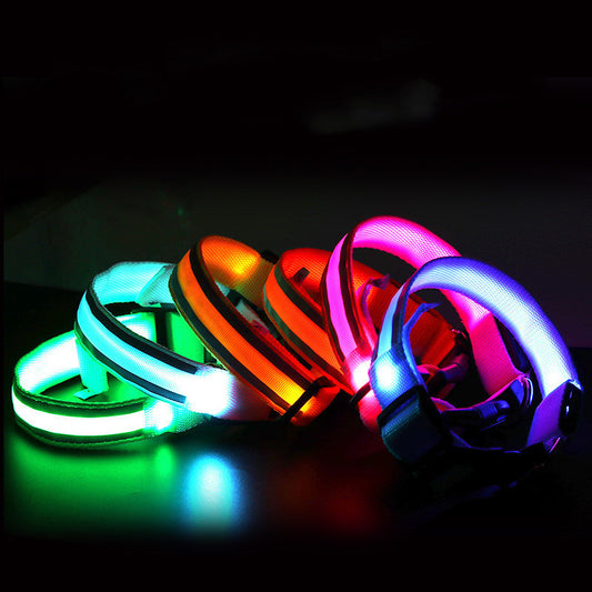 LED Glow Anti-Lost Dog Collar – Keep Your Pet Safe & Stylish!